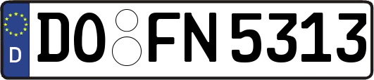 DO-FN5313