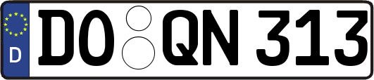 DO-QN313