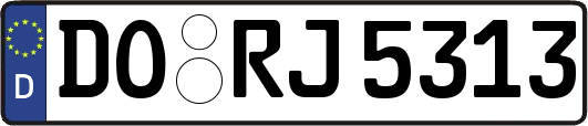 DO-RJ5313