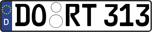DO-RT313