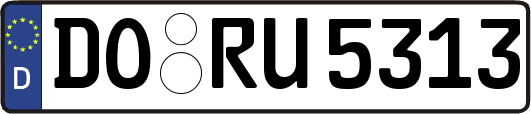 DO-RU5313
