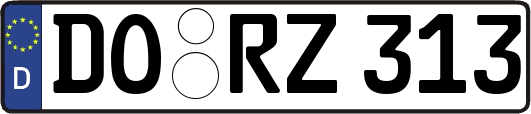 DO-RZ313