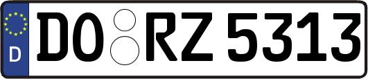DO-RZ5313