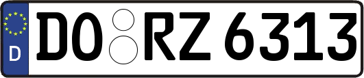 DO-RZ6313