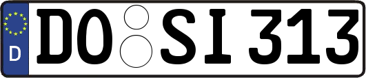 DO-SI313
