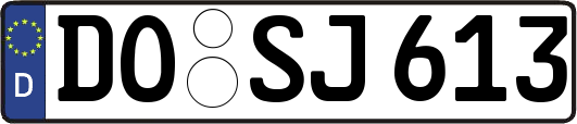 DO-SJ613