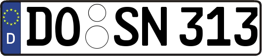 DO-SN313