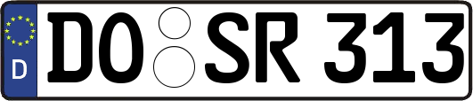 DO-SR313