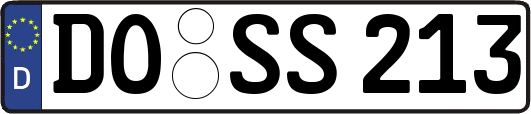DO-SS213