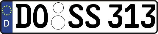 DO-SS313