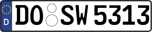 DO-SW5313