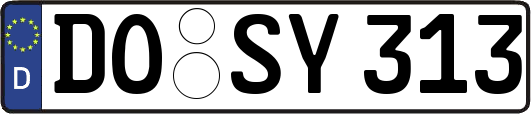 DO-SY313