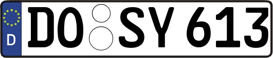 DO-SY613
