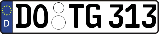 DO-TG313