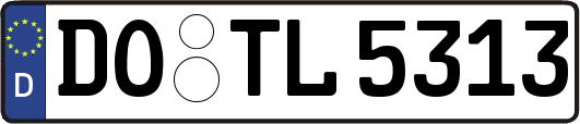DO-TL5313