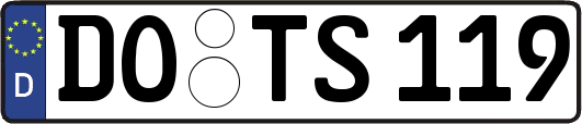 DO-TS119