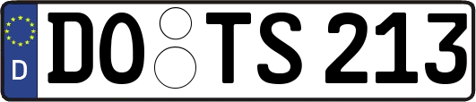 DO-TS213