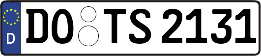 DO-TS2131