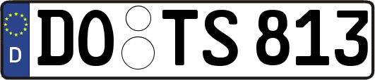 DO-TS813