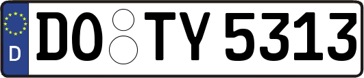 DO-TY5313
