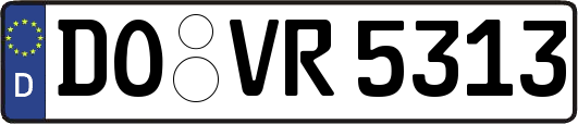 DO-VR5313