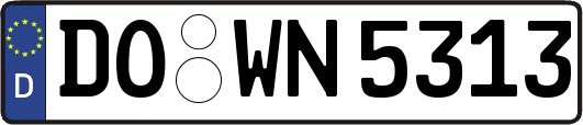 DO-WN5313