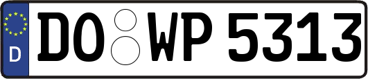 DO-WP5313