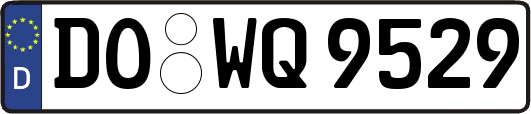 DO-WQ9529