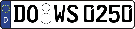 DO-WS0250