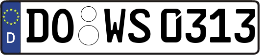 DO-WS0313