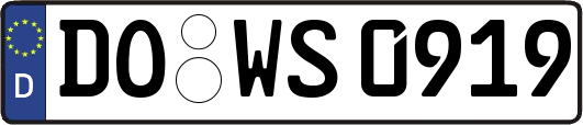 DO-WS0919