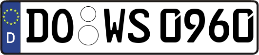 DO-WS0960