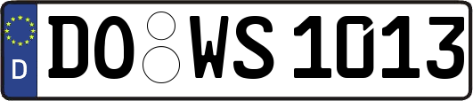 DO-WS1013