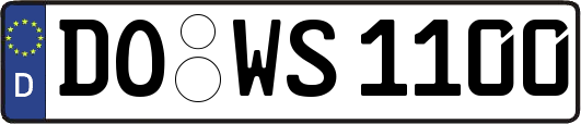 DO-WS1100
