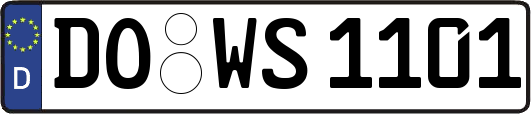 DO-WS1101