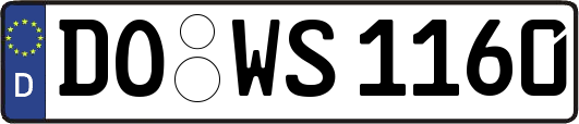 DO-WS1160