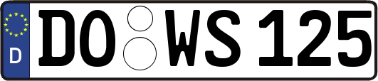 DO-WS125