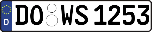 DO-WS1253