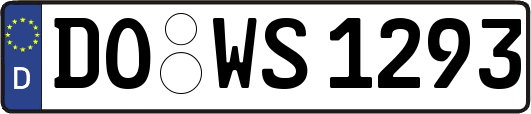DO-WS1293