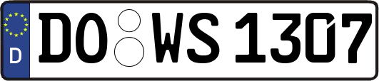 DO-WS1307