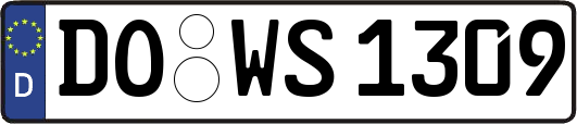 DO-WS1309