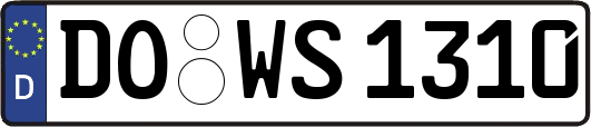 DO-WS1310