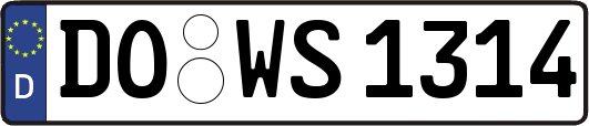 DO-WS1314