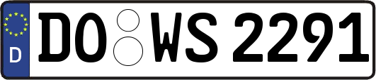 DO-WS2291