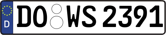 DO-WS2391