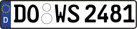 DO-WS2481
