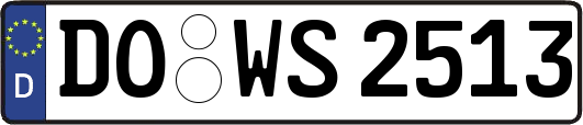 DO-WS2513