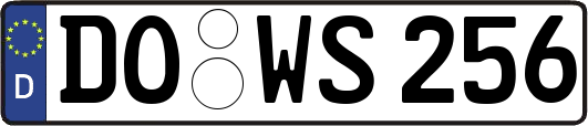 DO-WS256