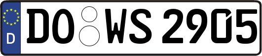 DO-WS2905
