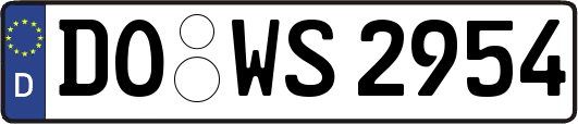 DO-WS2954